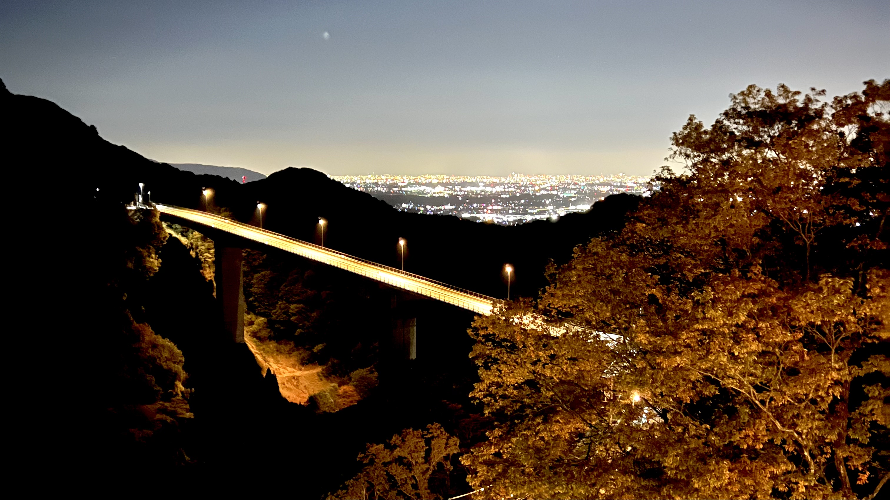 夜景かもしか大橋