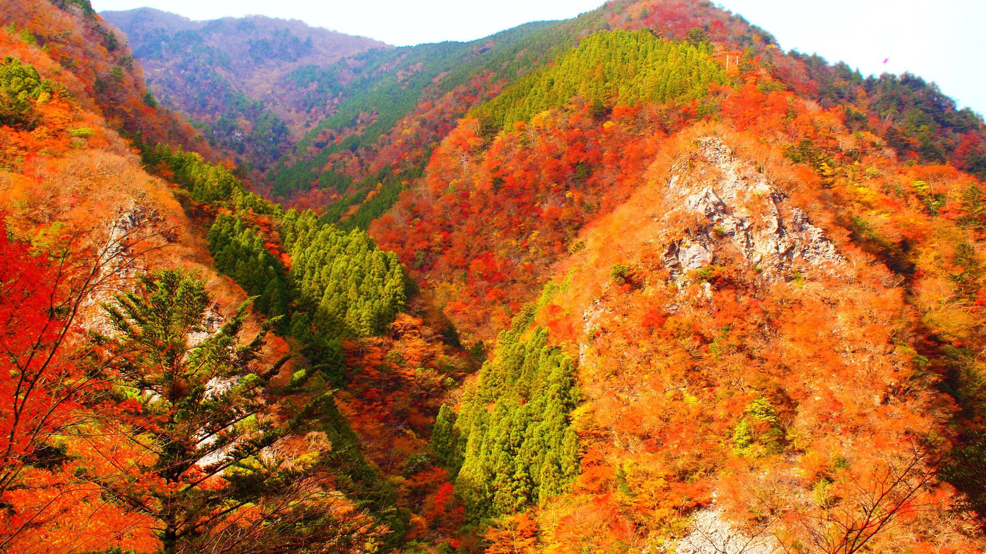 高ノ瀬峡