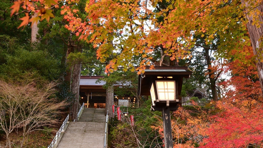 太龍寺紅葉