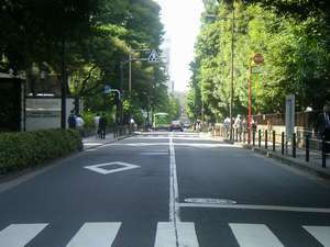 綠樹成蔭的永田町站周邊（酒店前）