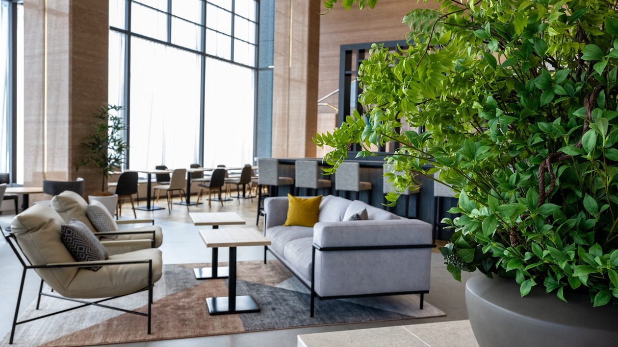 【早期割】早めのご予約でお得にステイプラン＜素泊り＞ 