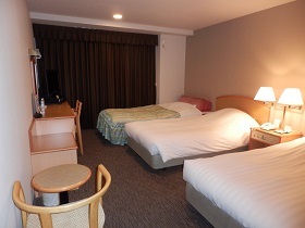 You can put an extra bed in the twin room and spend it for 3 people. How about with your family?