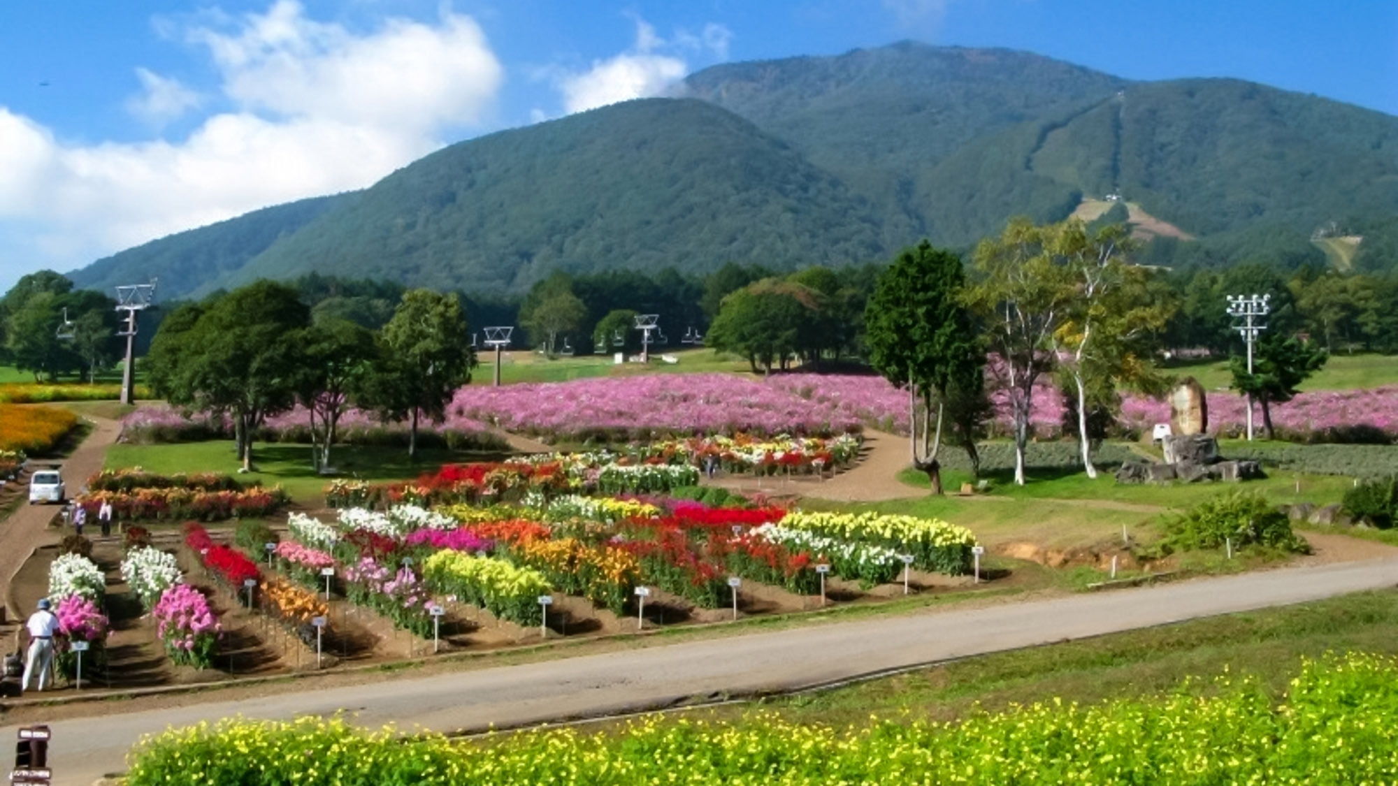 【1泊2食・おばあちゃん家のおごっつお】黒姫山で山菜採り体験！採れたて山菜御膳に舌鼓/1日10名限定