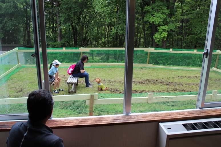 【2食付き／ペット同伴／設定日限定】訳ありでお得！団体旅行同泊プラン★通常プランより20％OFF