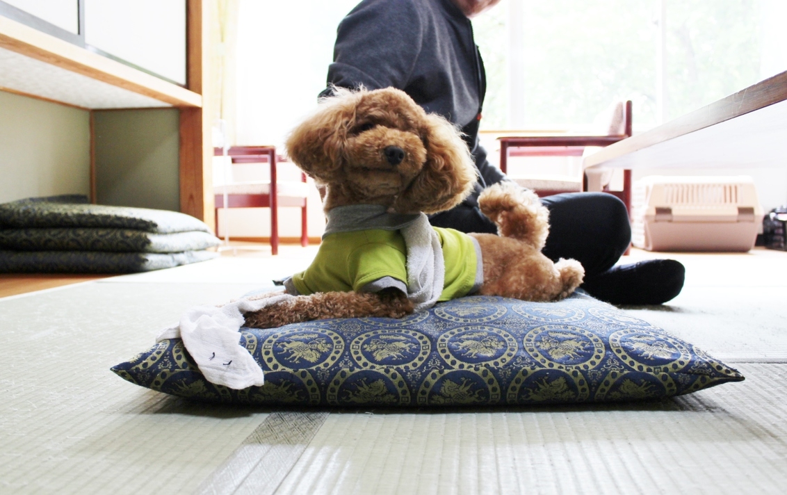 【2食付き／ペット同伴／設定日限定】訳ありでお得！団体旅行同泊プラン★通常プランより20％OFF