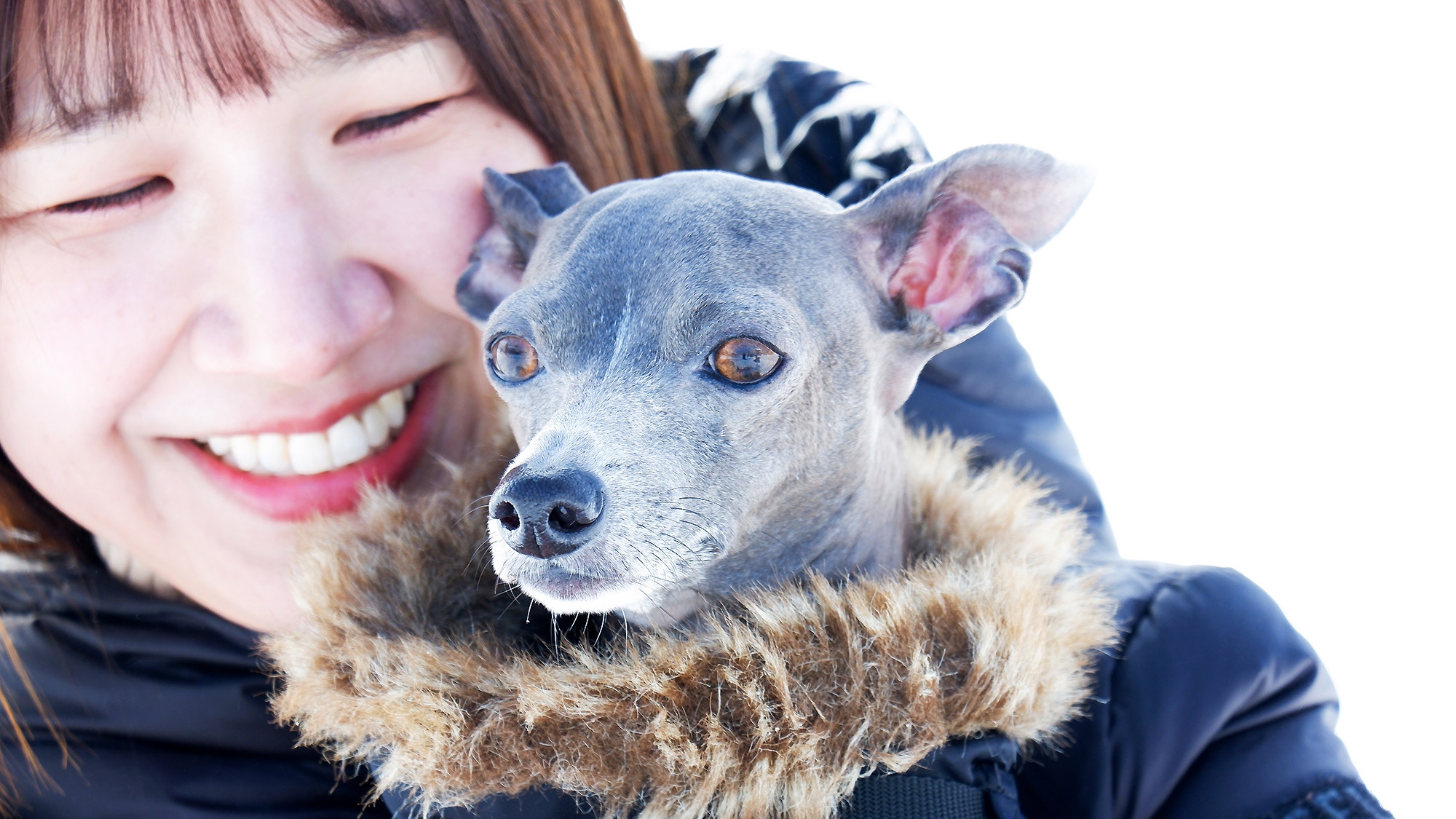 【春SALE】【1泊2食】ペット同宿★大切なペットを連れて豊かな自然がひろがる黒姫高原へ！