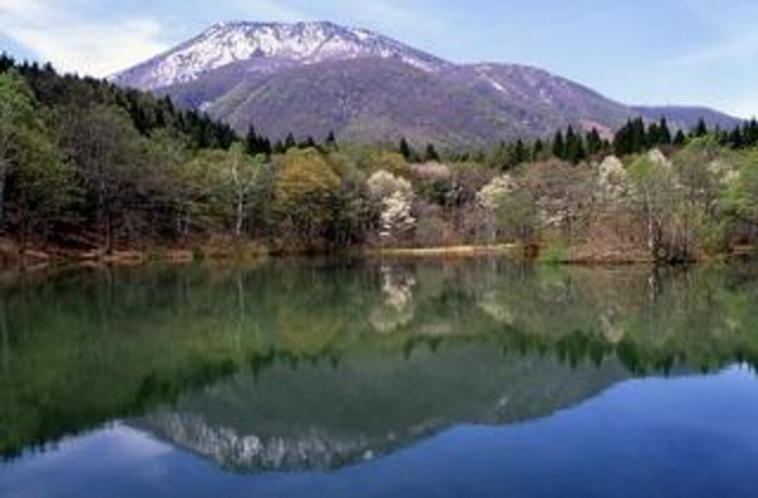 逆さ黒姫が美しい御鹿池。野鳥も多く散策にはもってこいです