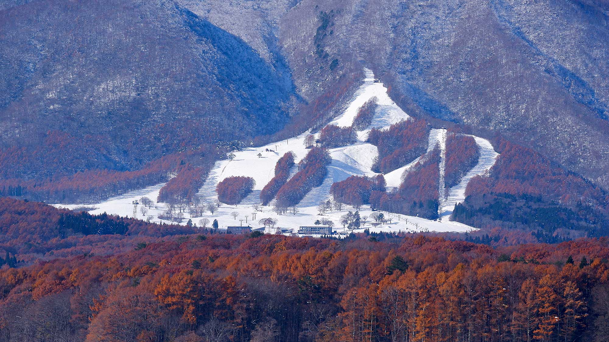 ・【周辺】黒姫スキー学校は全国屈指のコーチ陣がスキー技術と楽しさを提供します