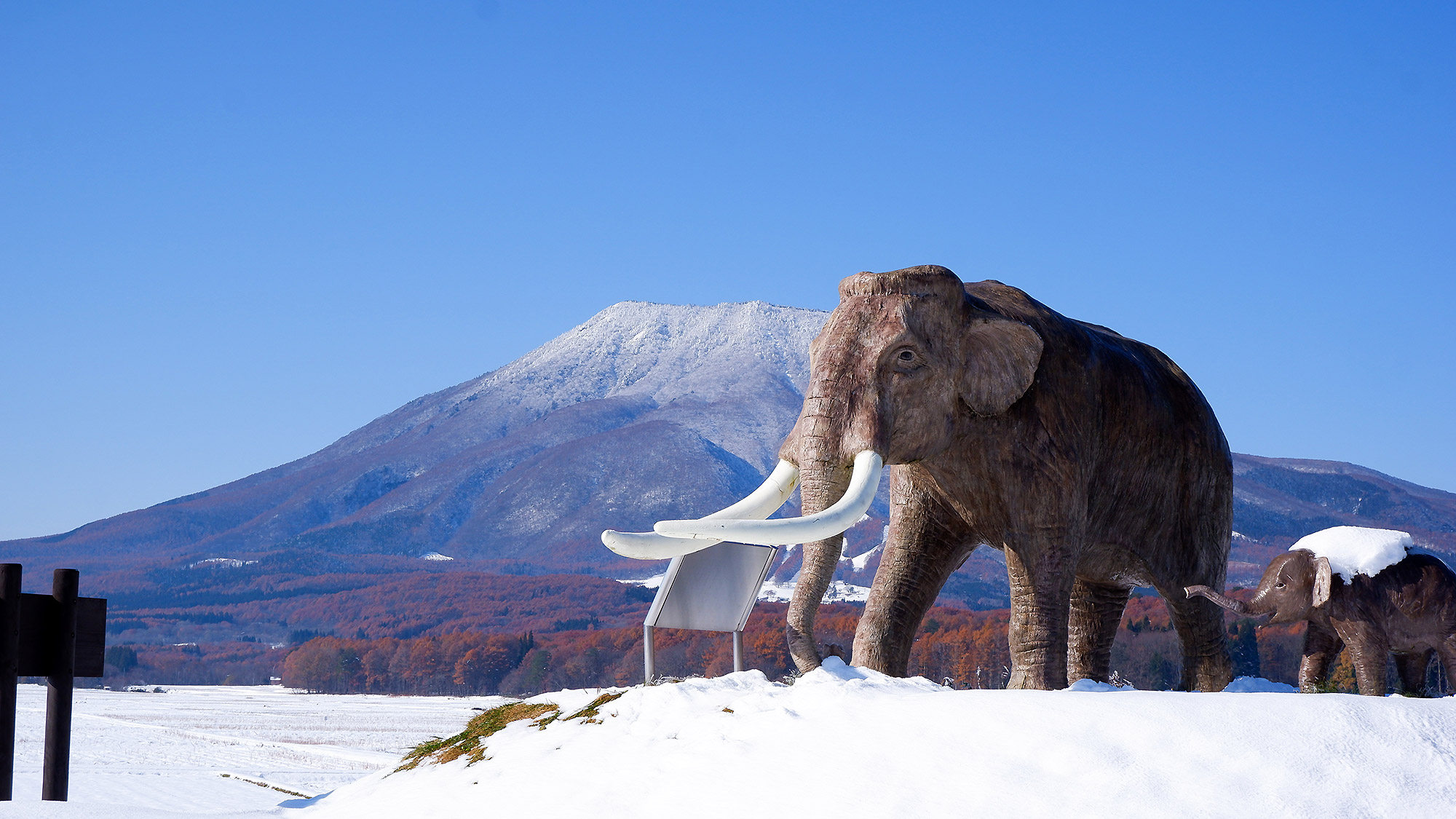 ・【野尻湖ナウマンゾウ博物館】氷河時代の自然と旧石器時代の人類をテーマにしています
