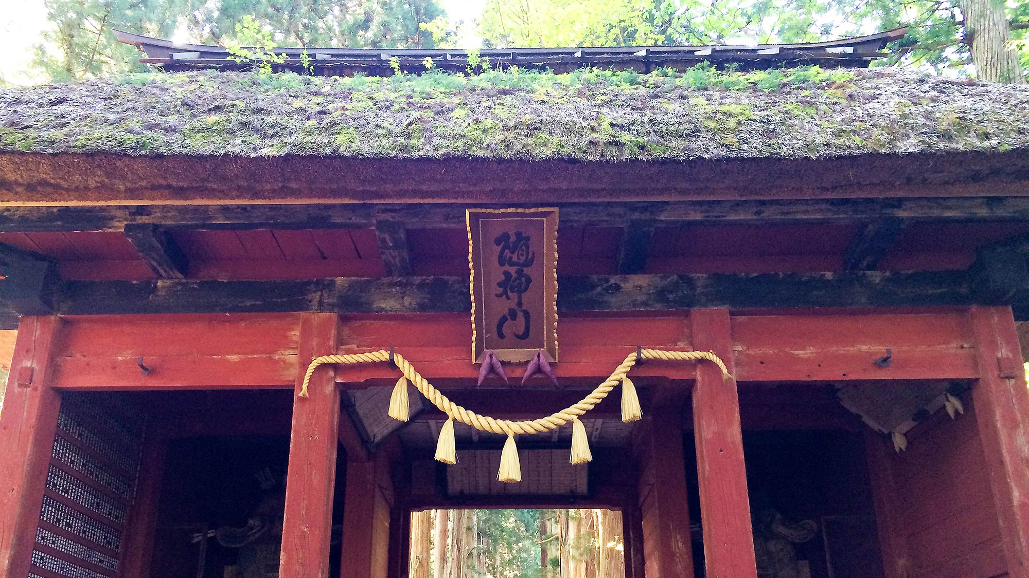 ・【戸隠奥社】少し足を延ばせば信州屈指のパワースポット「戸隠神社」がございます