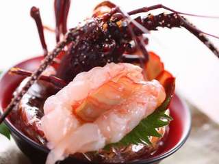 【伊勢エビのお寿司】伊勢エビ１匹をお寿司で。ほんのり身の甘さが口に広がる