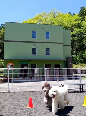 ペットと泊まれる宿 コンドミニアム フラットレット草津 格安予約 宿泊プラン料金比較 トラベルコ ペットと泊まれる宿 コンドミニアム フラットレット草津 格安予約 宿泊プラン料金比較 トラベルコ