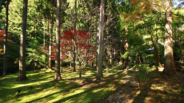 【リトリートぐんま】渓流を一望★数寄屋造りのお部屋で特別なひと時を…《絹の膳-kinunozen-》