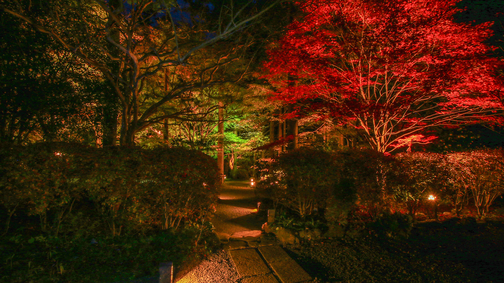 ＃静かな夜の庭園