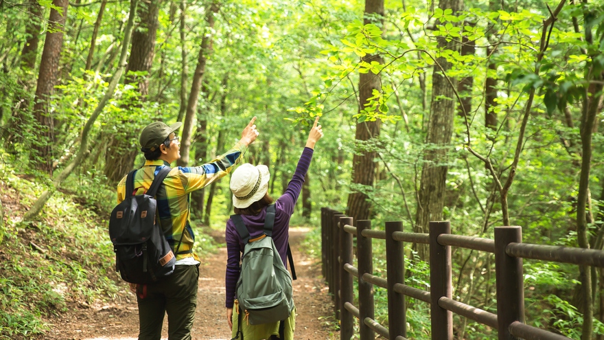 【半日森林セラピー】小谷村でガイドと一緒に五感を使って、自然散策しよう♪　1泊2食付