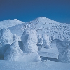 八甲田の樹氷