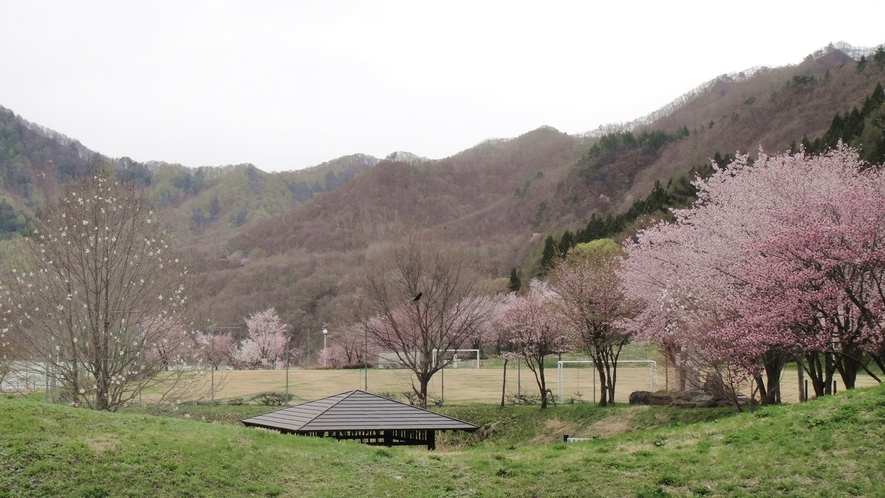 *藤原湖畔公園