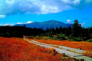 尾瀬アヤメ平草紅葉／アヤメ平／至仏山☆