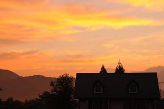 てんとう虫の朝焼け