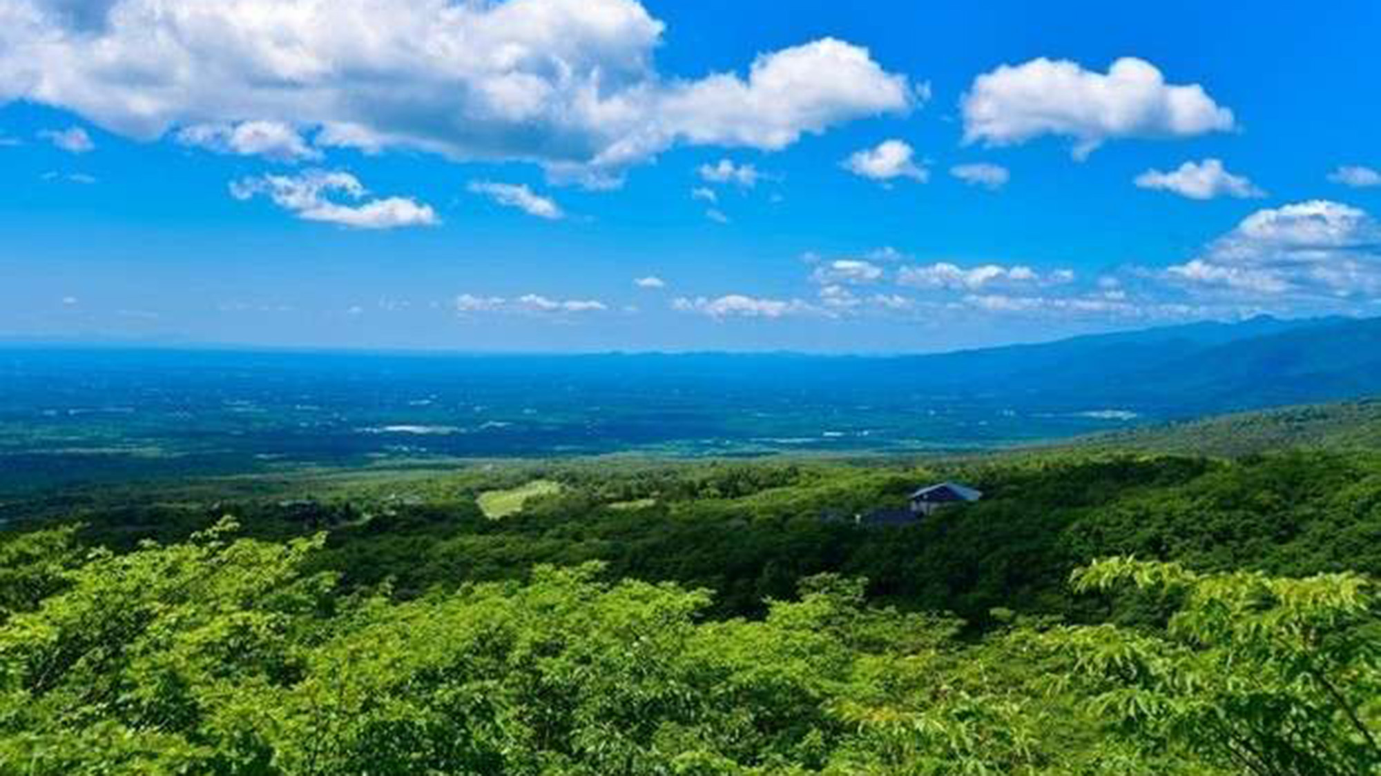 【素泊】自由気ままに那須観光シンプルステイプラン♪