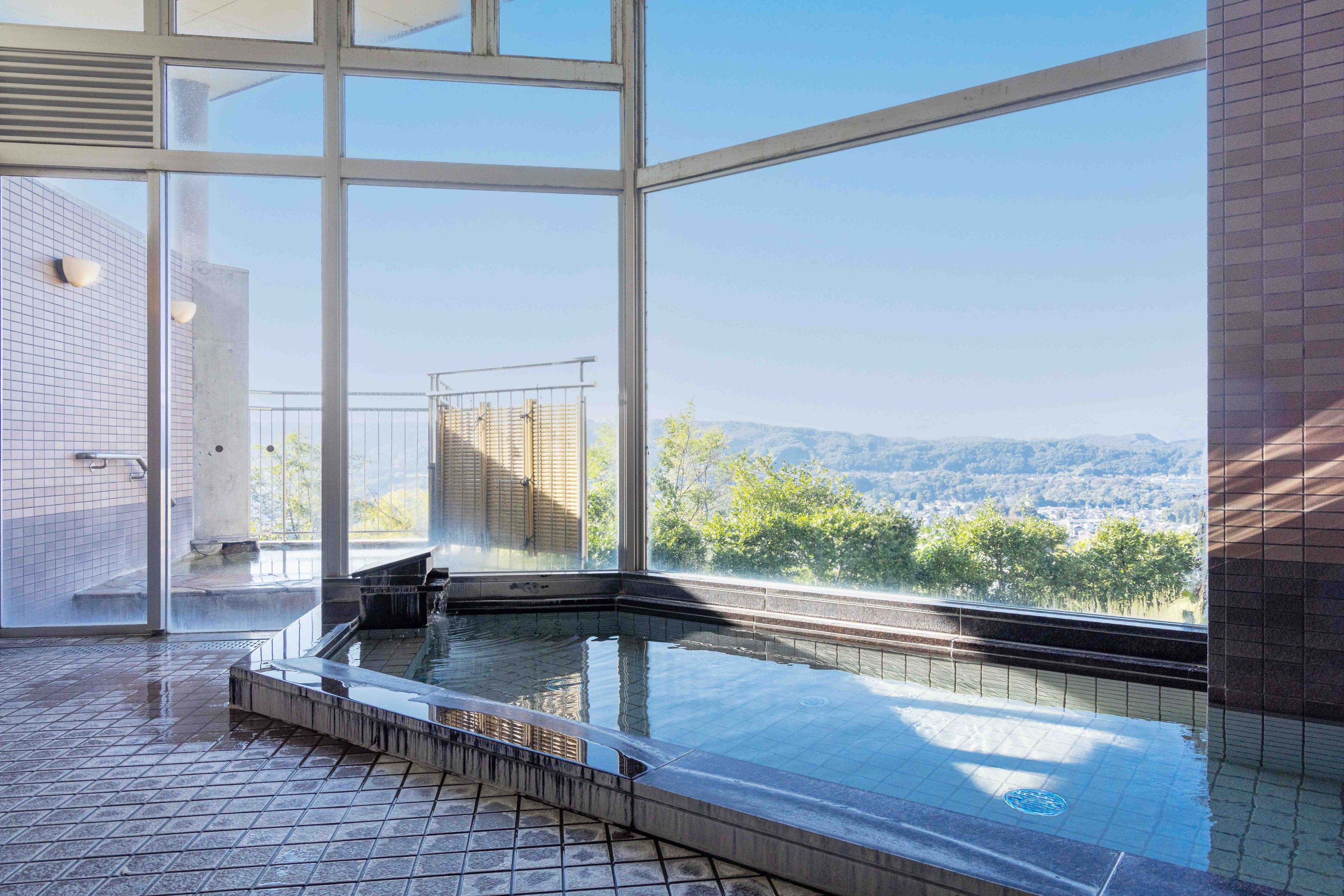 【楽天スーパーSALE】農園ホテル人気≪夕食バイキング≫プラン■夕食は和洋約50種■【1泊2食】