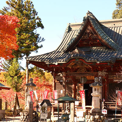 ■秩父の歴史と文化■日本百番観音「秩父札所三十四観音巡り」お土産付【夕食バイキング】