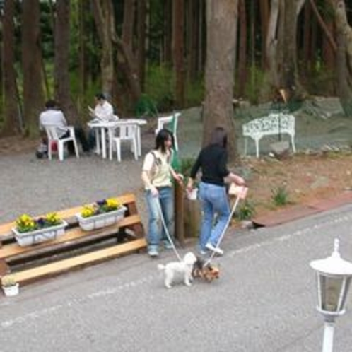 アルミュールの廻りのペンション街は車通りが少なく気軽なお散歩コースです(^^)/