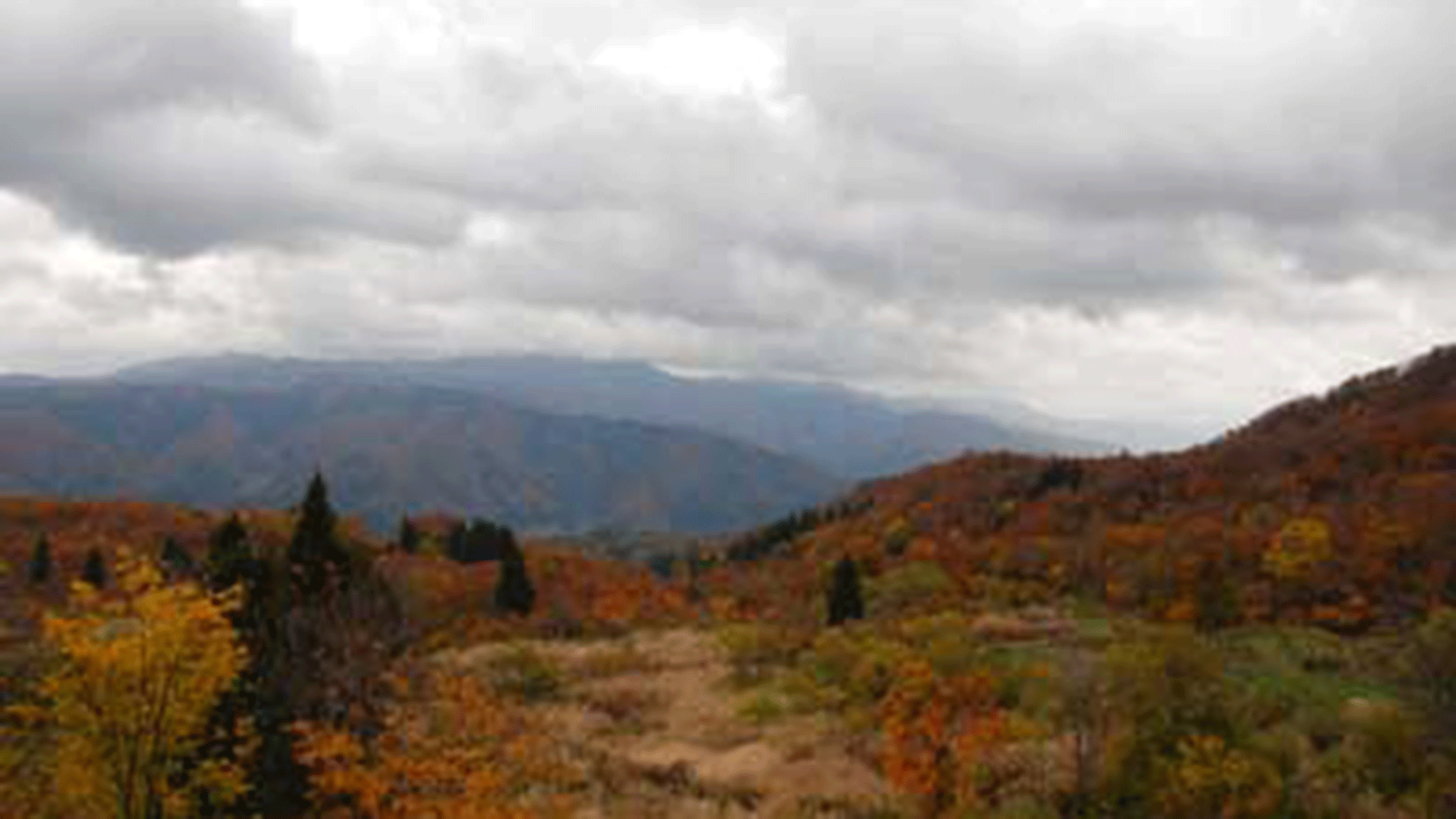 *【周辺】秋の紅葉風景