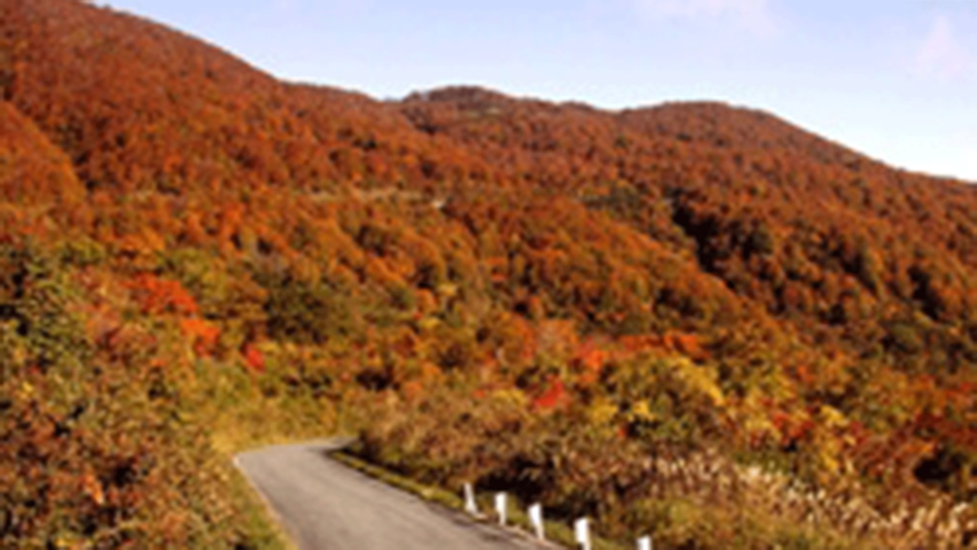 *【周辺】秋の紅葉風景