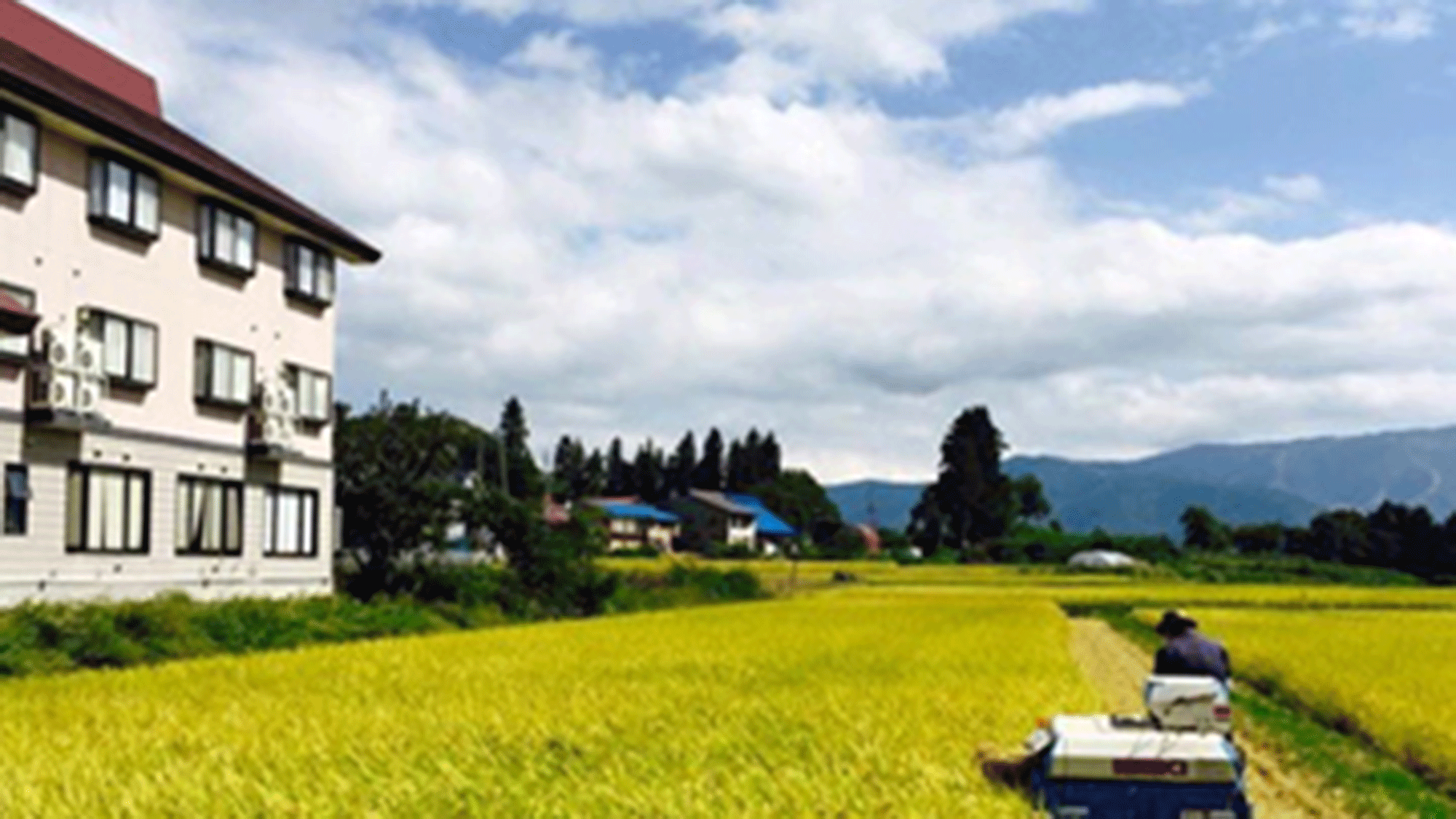 *【周辺】湧水で育てた飯山産コシヒカリや自家栽培のお野菜を使用した料理を堪能下さい