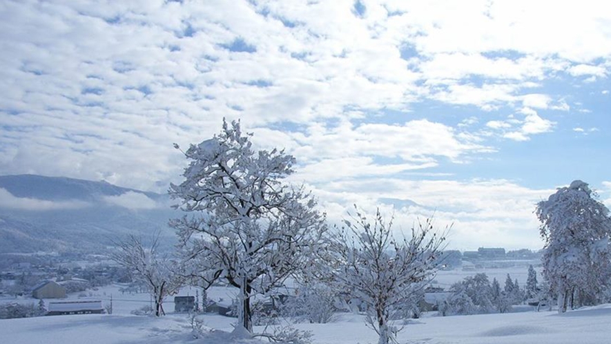 *【周辺】雪景色