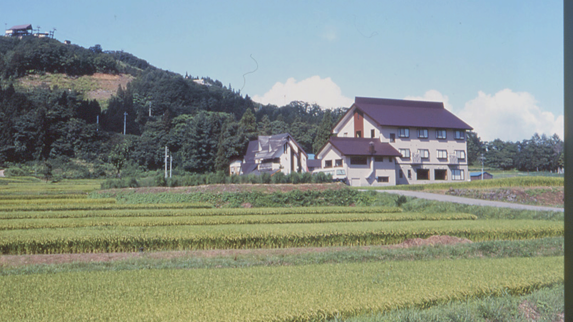 *【周辺】自然に囲まれ、澄んだ空気を感じれます♪