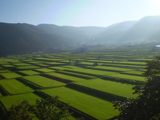 野沢温泉