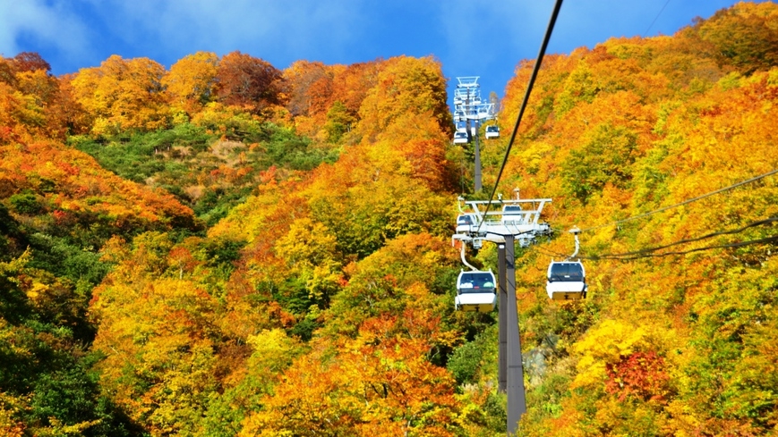 1名〜グループまで☆『【スタンダード】 白馬満喫♪  季節の食事グルメ　《１泊２食》