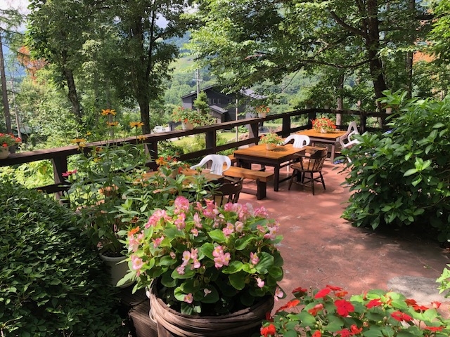白馬の四季・春の芽吹きと水芭蕉　夏に咲く高山植物　秋の紅葉　魅力たっぷり山と花と温泉をお楽しみ下さい