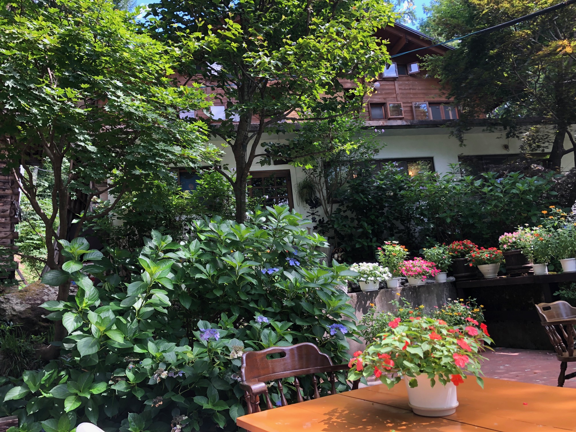 夏の風見鶏　アジサイをはじめいろんな花が咲き誇る