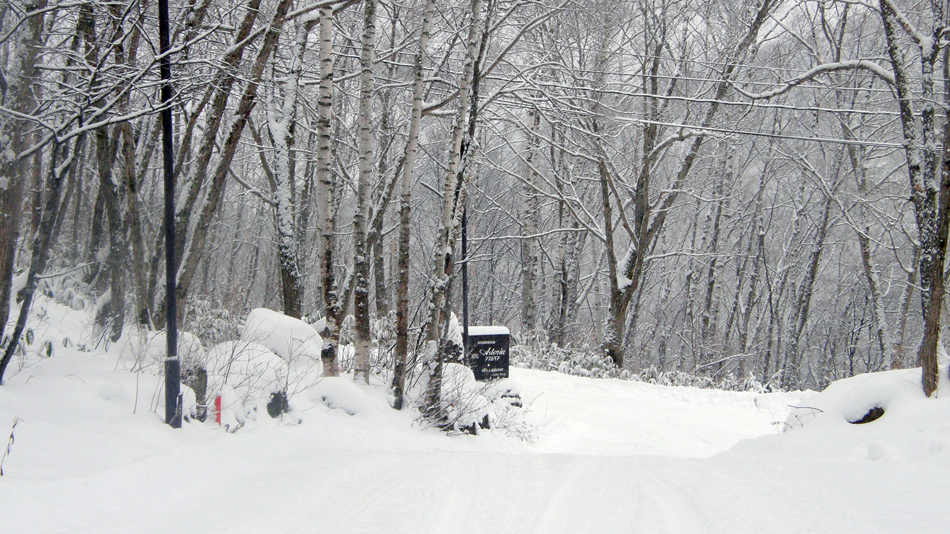 *詳細情報‗周辺‗冬