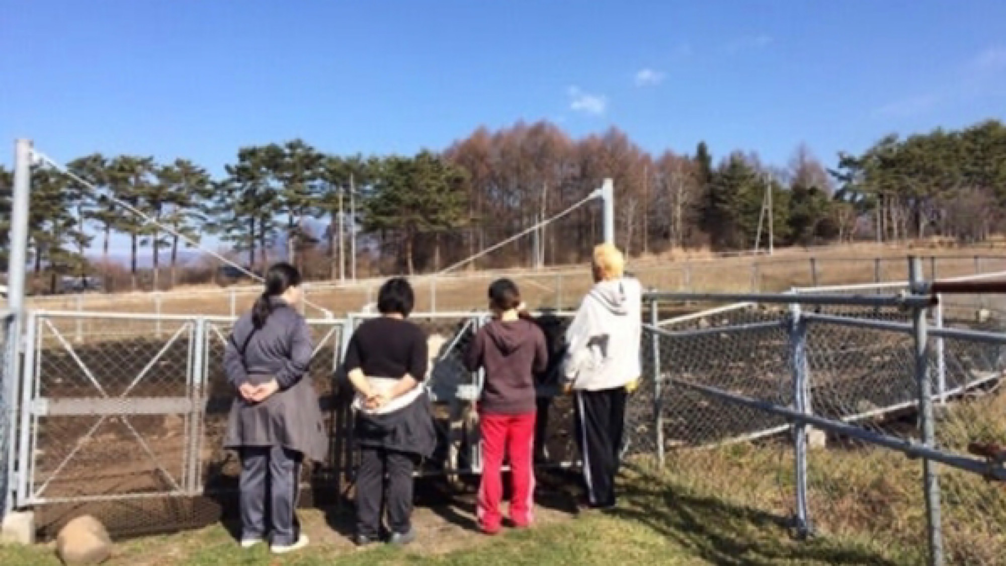 〈ダイエット合宿〉正しいウォーキング・ランニング方法を指導します