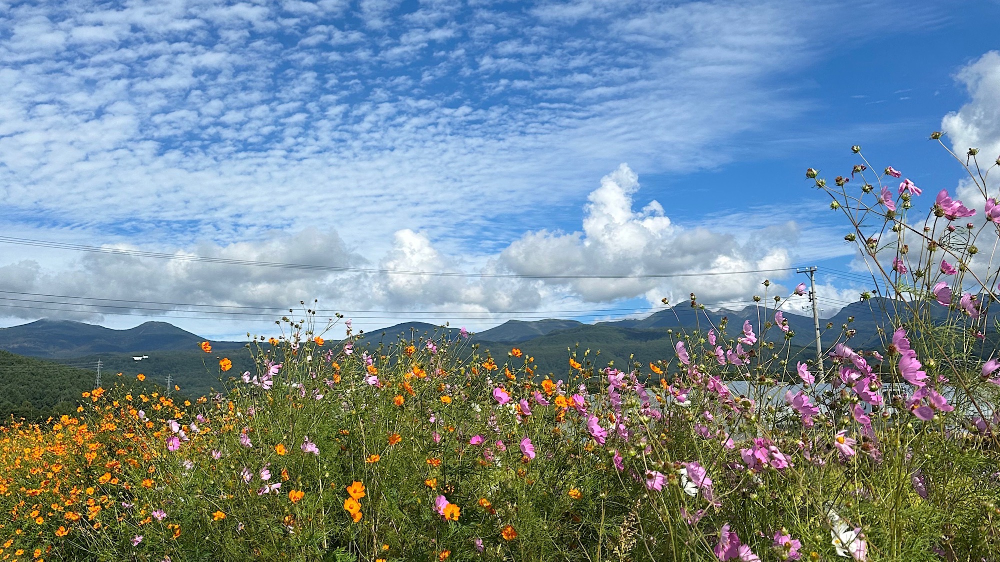 夏の終わり八ヶ岳