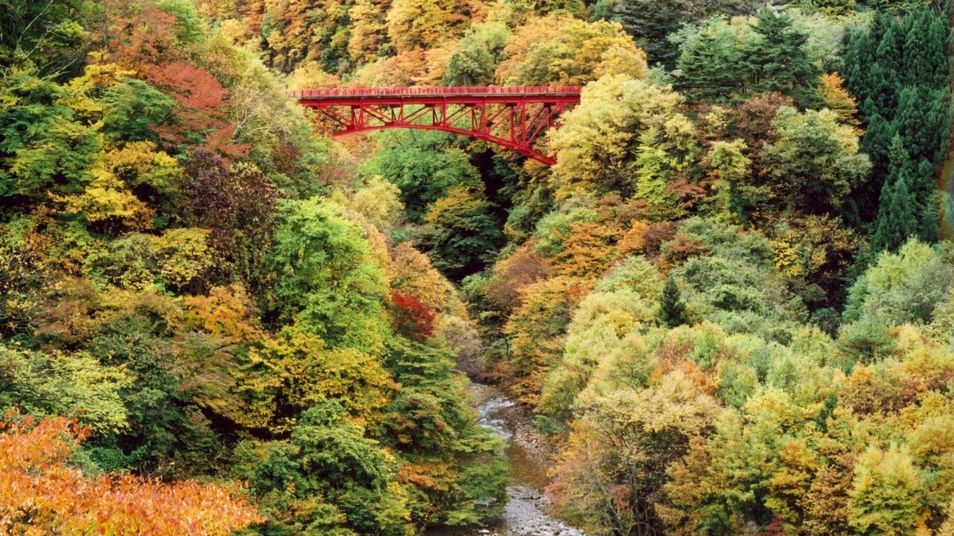 【紅葉トレッキングに最適！】笠岳登山・志賀高原トレッキングの拠点に♪秋の味覚天然きのこ【1泊2食付】