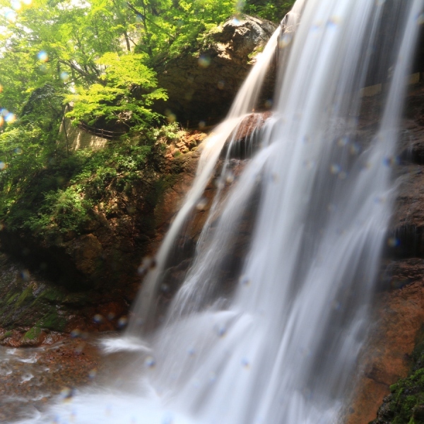 写真7