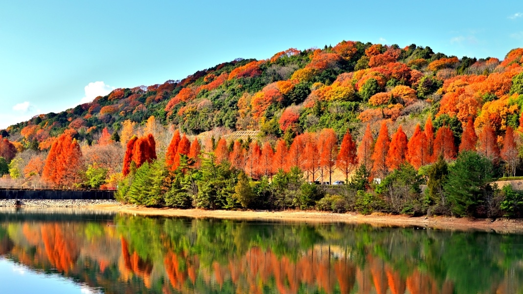 【紅葉トレッキングに最適！】笠岳登山・志賀高原トレッキングの拠点に♪秋の味覚天然きのこ【1泊2食付】