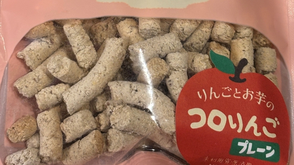 【1〜3月：暖房費込】【小・中型犬】【20kg未満】床暖房＆羽毛布団でおやすみなさい【素泊】