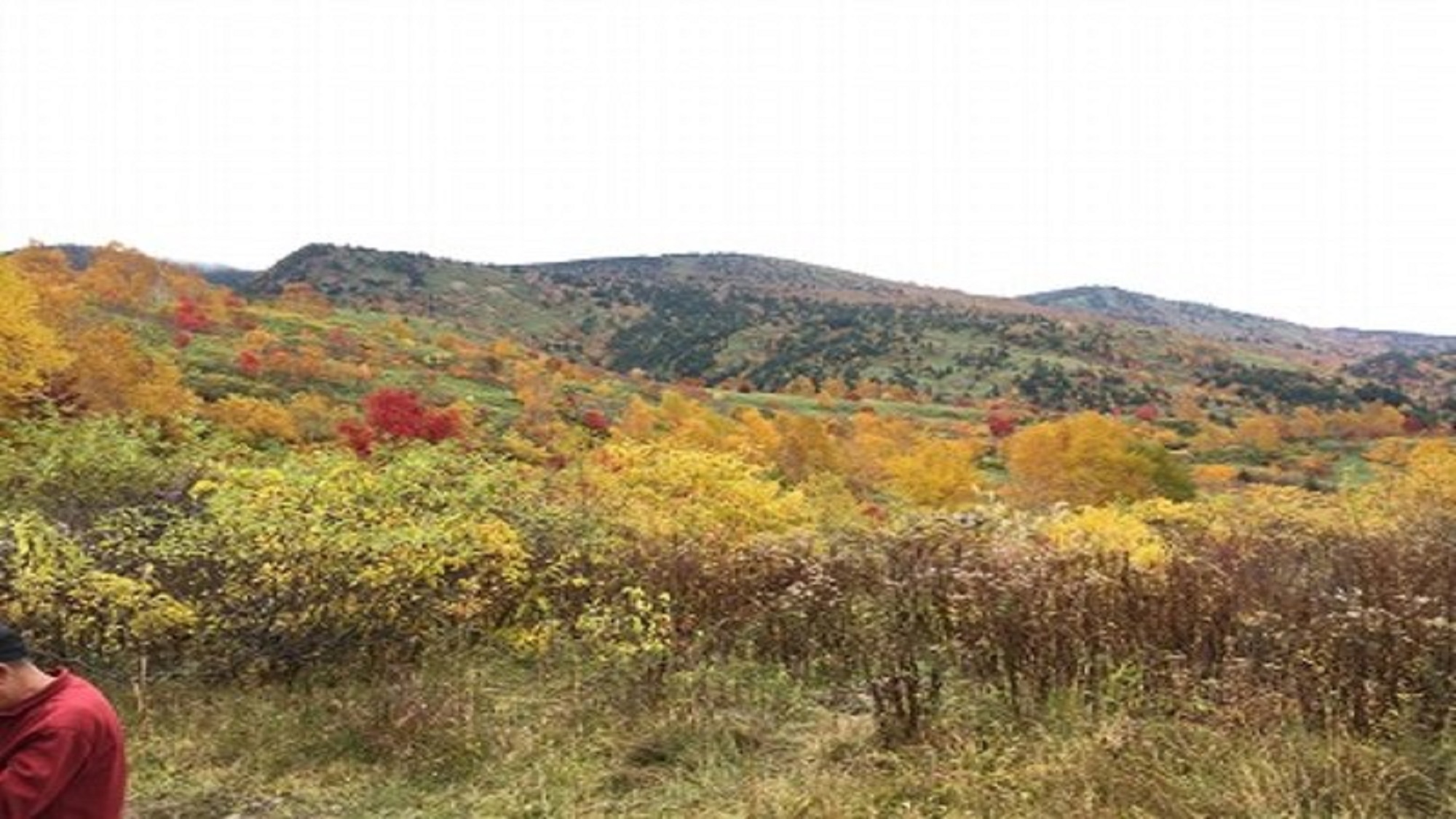 八幡平の紅葉