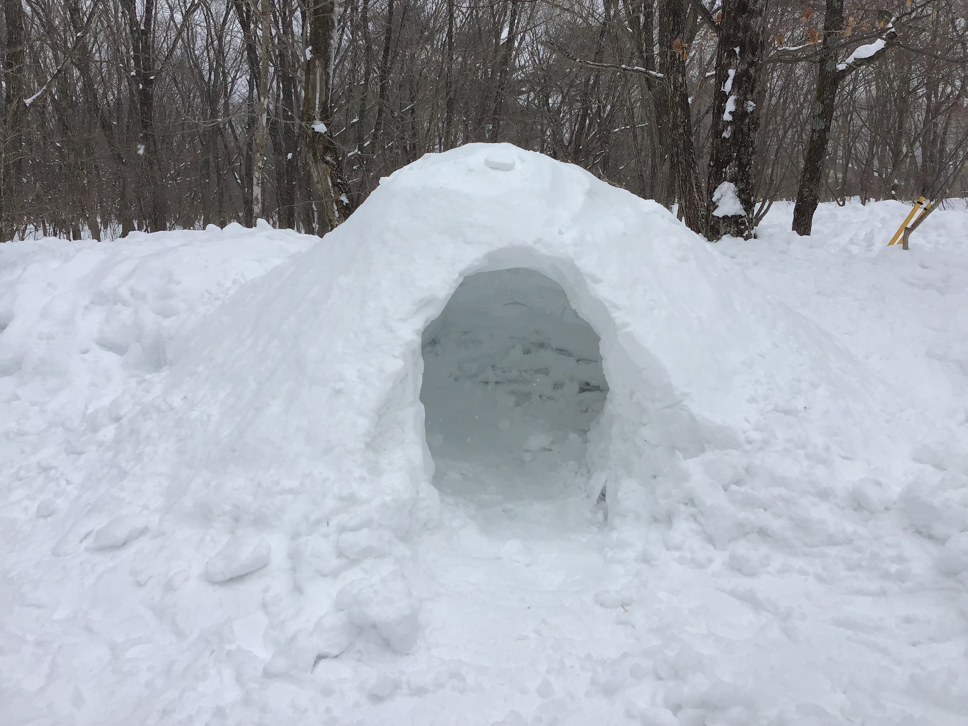 雪遊び、かまくら出来た