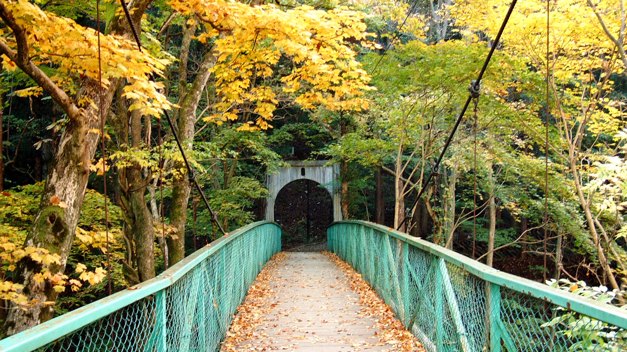 秋のみどり橋