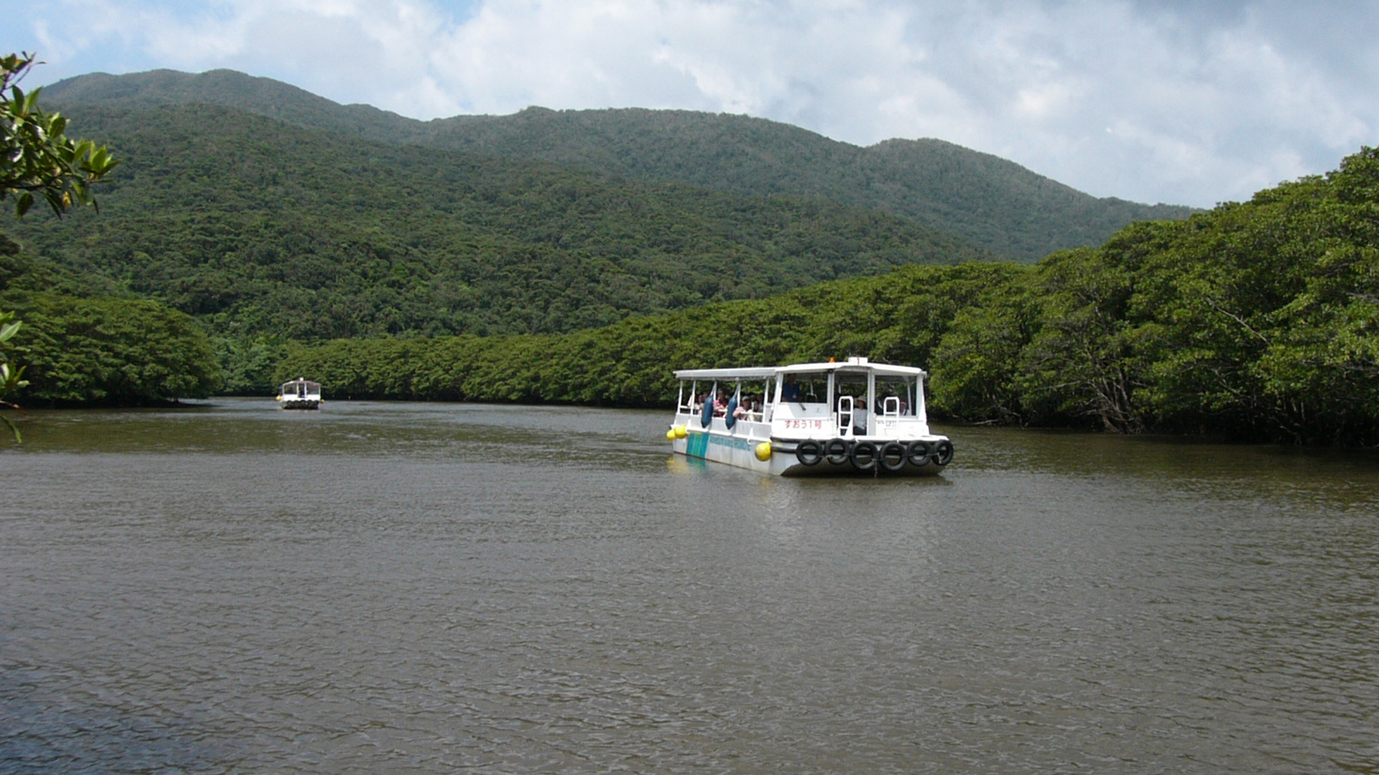 【観光イメージ】西表島（いりおもてじま）：仲間川遊覧ボート