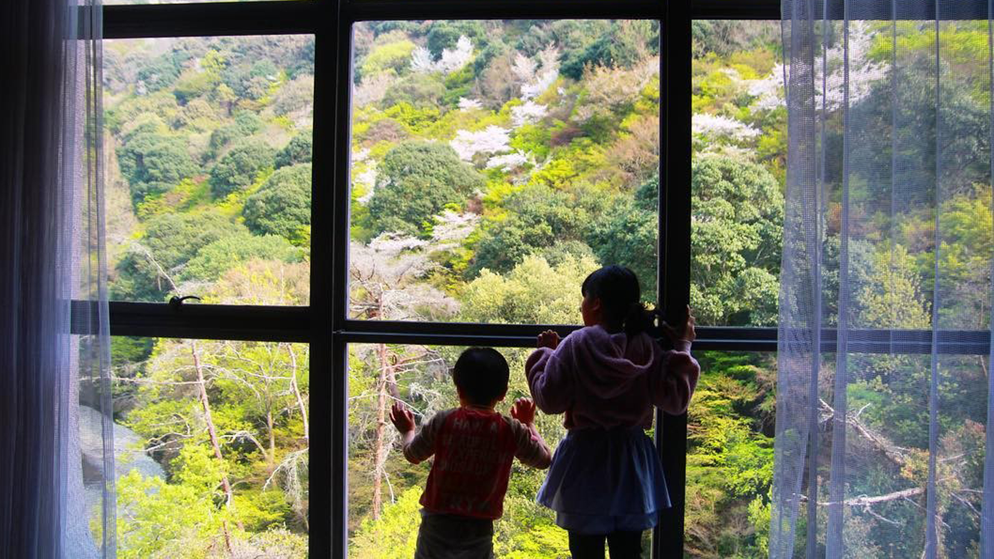 【春】ロビーの大きな窓から山桜の美しい景色をご覧頂けます。
