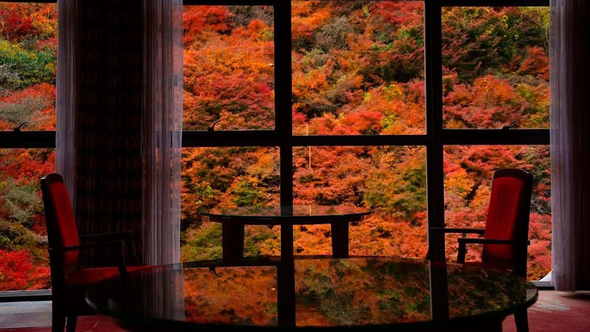 【秋】幻想的な紅葉景色に酔いしれて。アートのような景色をお楽しみ下さい。