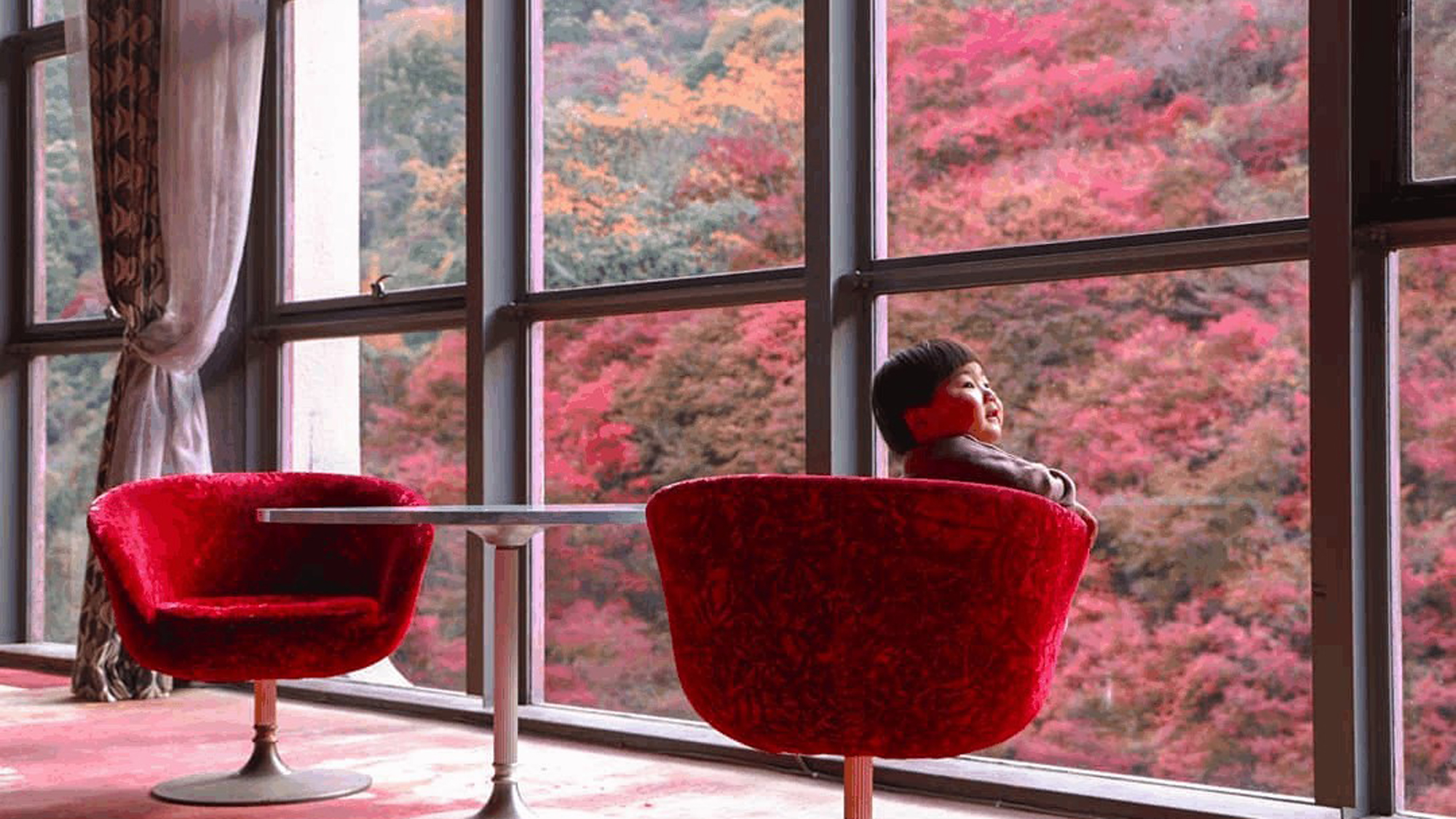 【秋】ワインレッドの椅子と紅葉の景色は写真映え抜群！